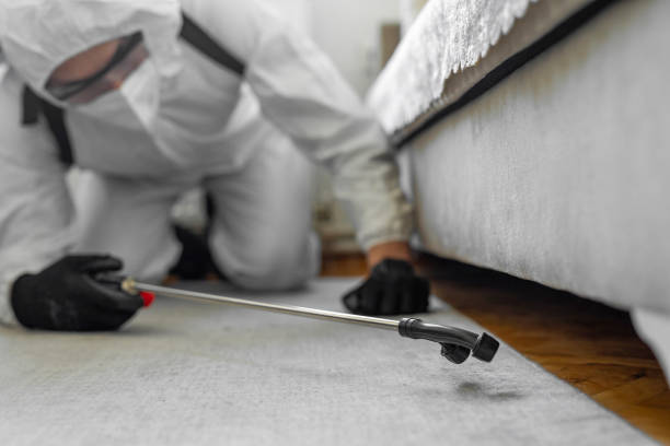 Professional Termite Control technician working in Cape May County County, NJ